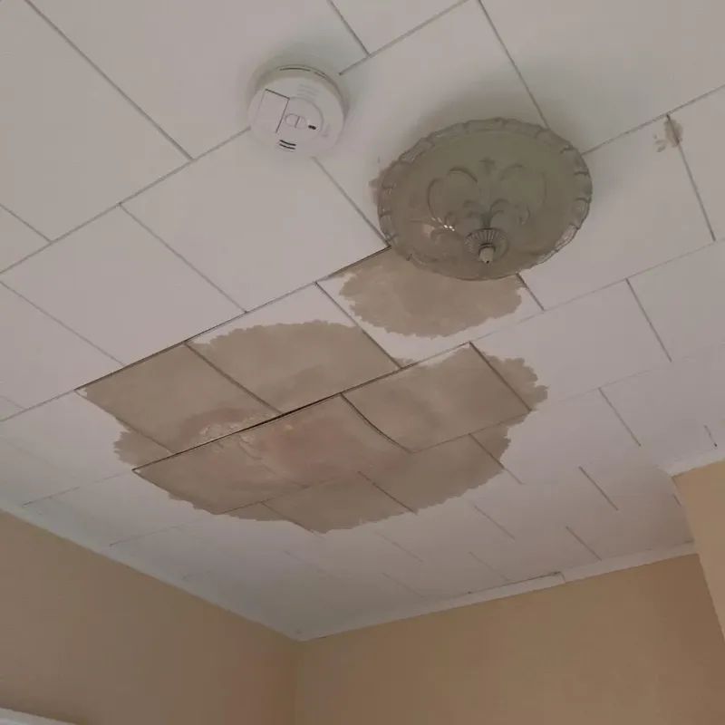 Ceiling Water Damage Repair in McKinleyville, CA