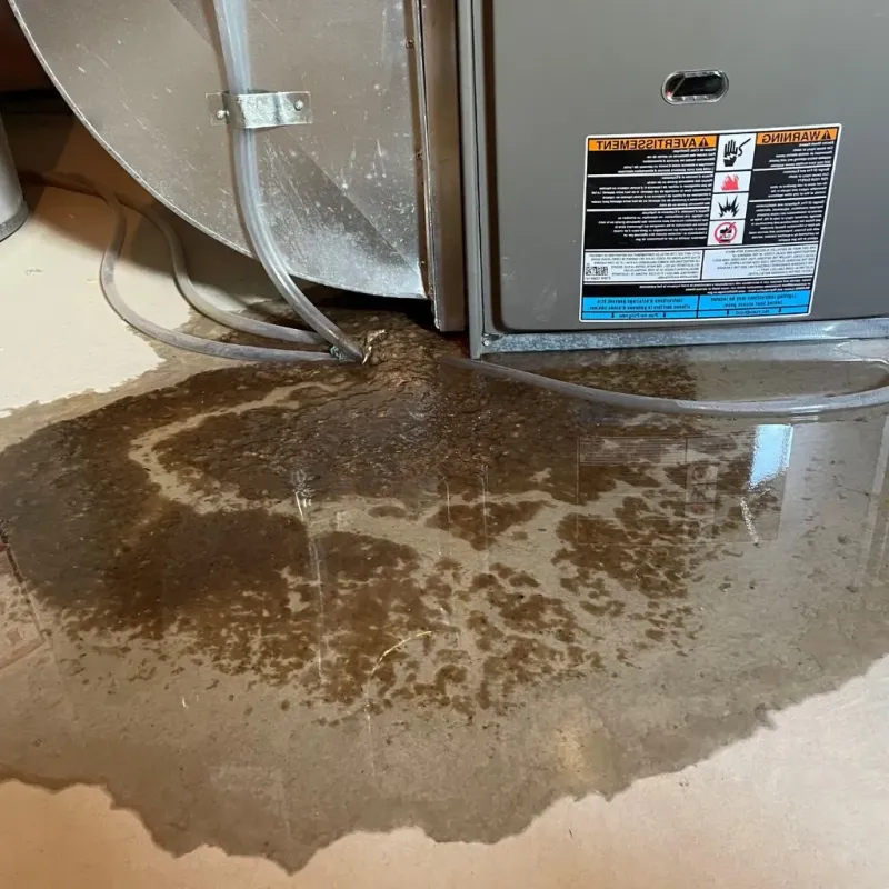 Pipe Burst and Leak Restoration in McKinleyville, CA